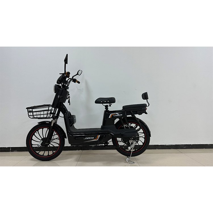Manufacturers Direct Selling Custom New Model 350W48V12Ah Drum Brake 20 Inch Tire Electric Bicycle for Men